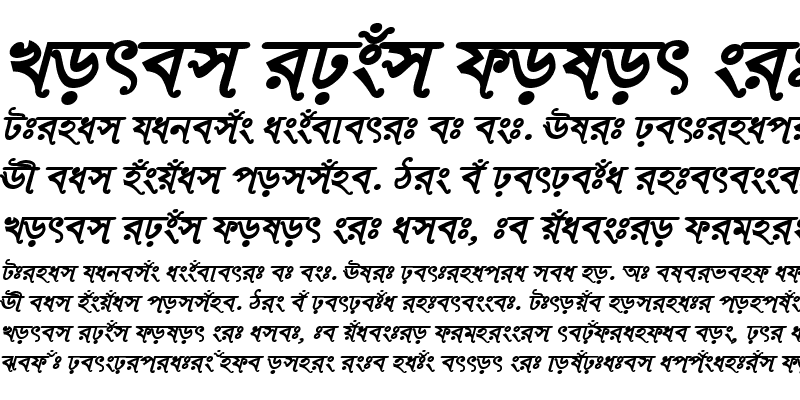 Sample of RinkiySushreeMJ Bold Italic