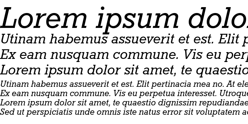 Sample of RoctusTEE Italic