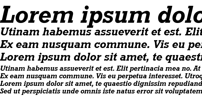 Sample of RoctusTEEMed Italic
