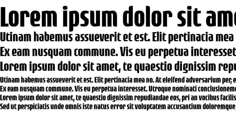 Sample of Rogue Sans Cond Bold