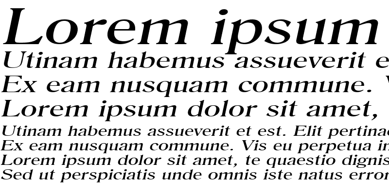 Sample of Roomy Extended Italic