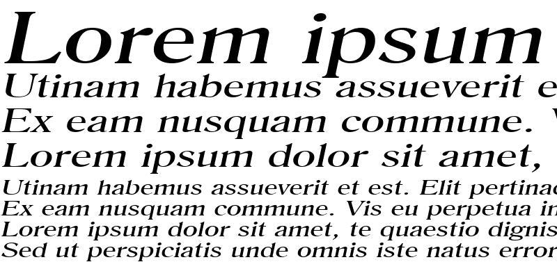 Sample of RoomyExtended Italic