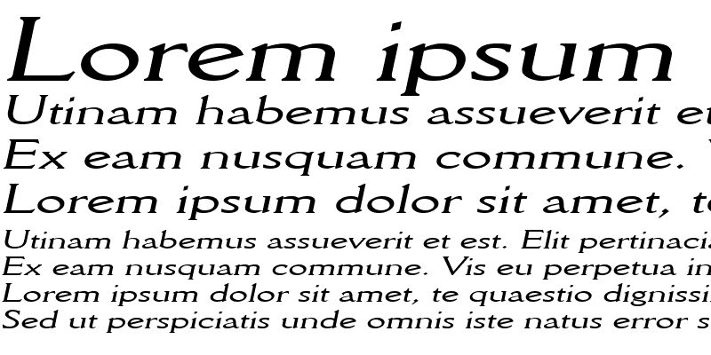 Sample of Rory Extended Italic