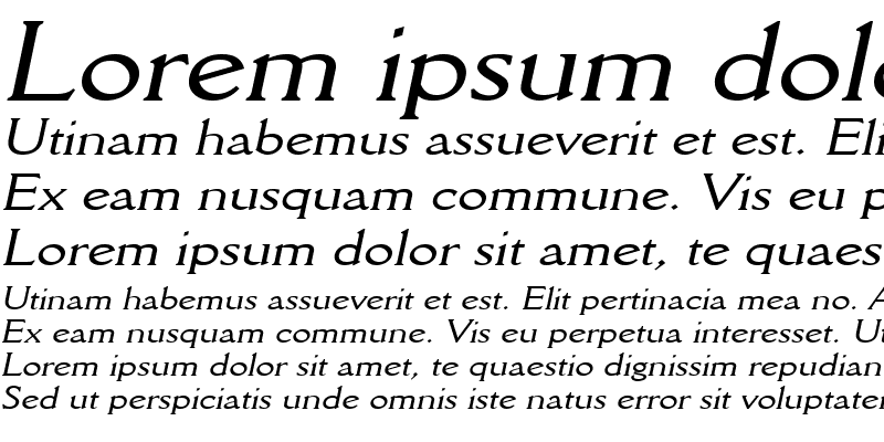 Sample of Rory Wide Italic