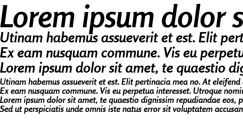 Sample of Rosario Bold Italic