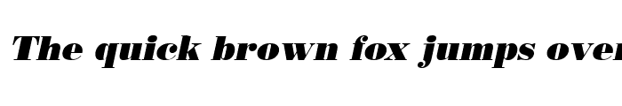Preview of Rotterdam Italic