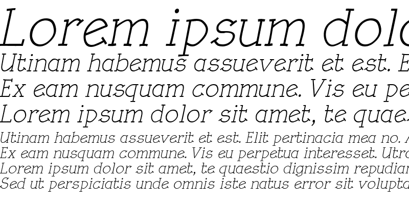 Sample of Rough LT Italic