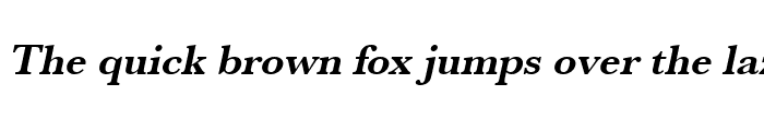 Preview of RoxanneBecker Bold Italic