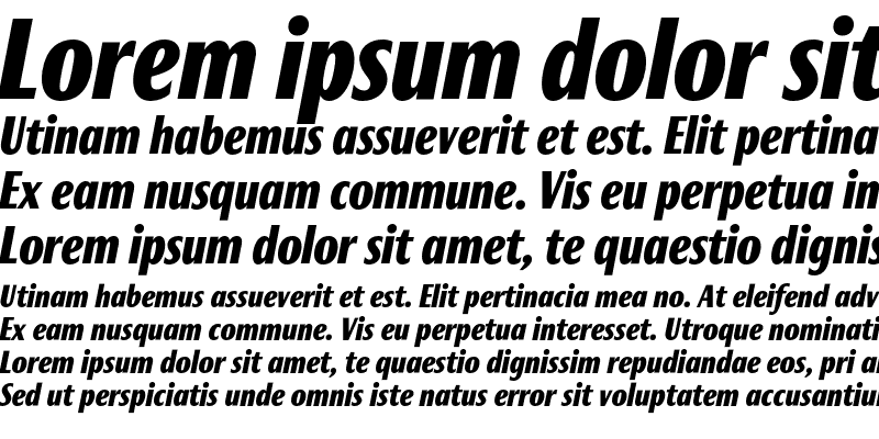 Sample of Roxy Black Italic