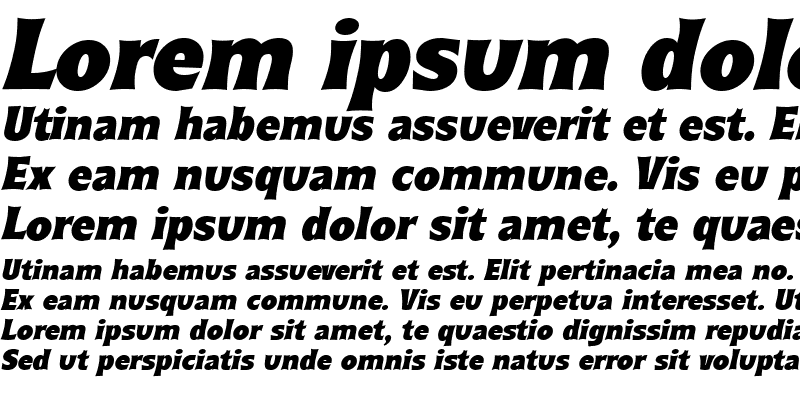 Sample of RyndersBlack Italic