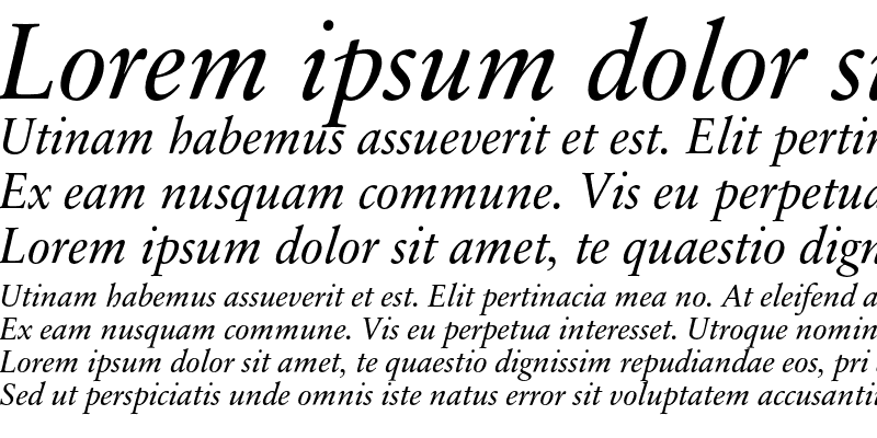 Sample of SabonNext RW OsF Italic