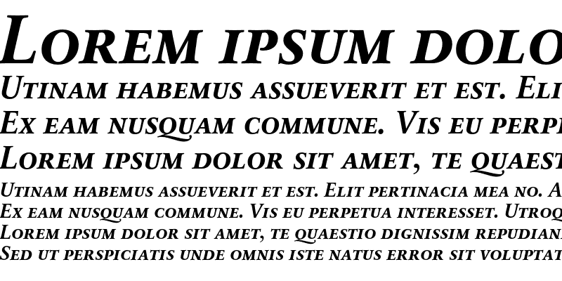 Sample of SabonNext RW SC Bold Italic