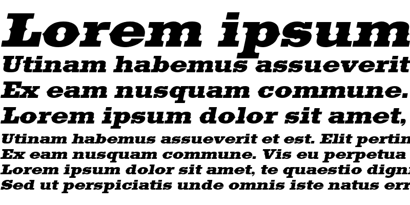 Sample of Saddlebag Italic