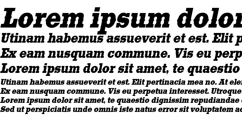 Sample of SaddlebagCondensed Italic