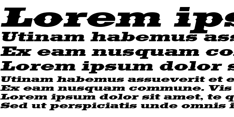 Sample of SaddlebagExtended Italic