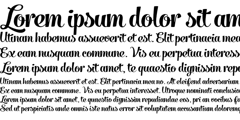 Sample of Salamander Script Bold Regular