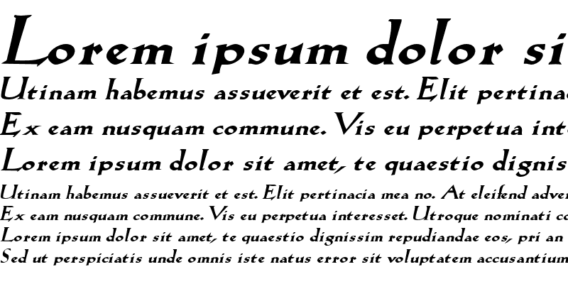 Sample of Salem-Extended Bold Italic