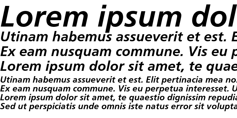 Sample of SALFrutiger Ital Bold