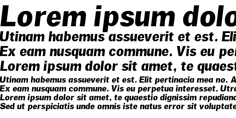Sample of SalinaSSK Italic
