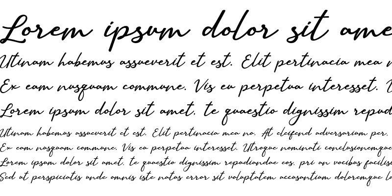 Sample of Sallim Regular