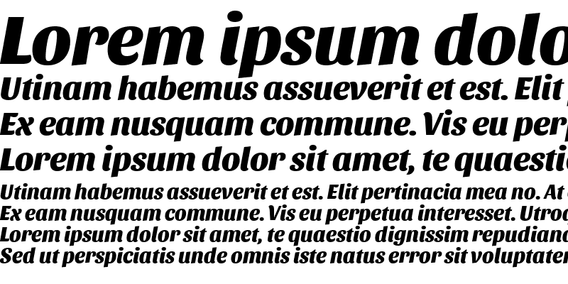 Sample of Sansita ExtraBold Italic