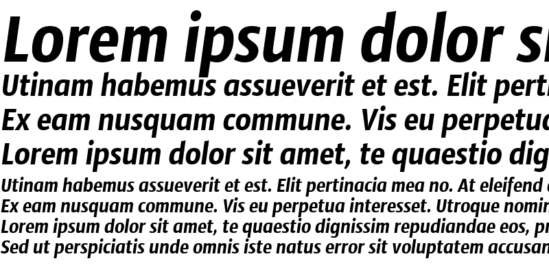 Sample of Sansus Webissimo Italic