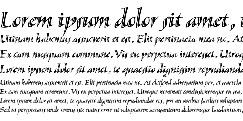 Sample of Sassafras-Italic