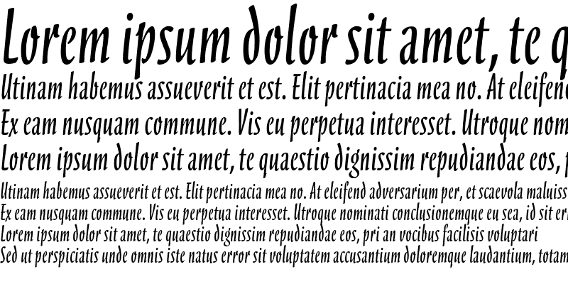 Sample of Scarborough ITC Std