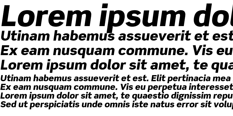 Sample of Scene Std Black Italic