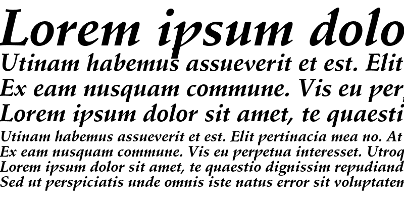Sample of Schneidler Bold Italic