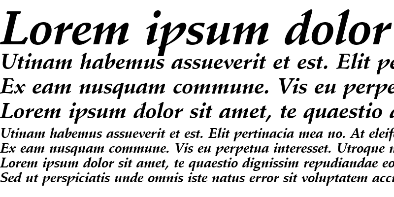 Sample of SchneidlerAmaT Bold Italic