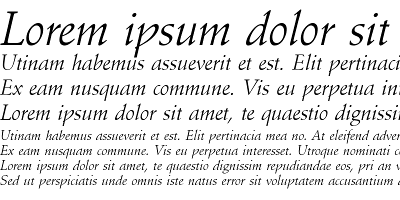 Sample of SchneidlerAmaT Italic
