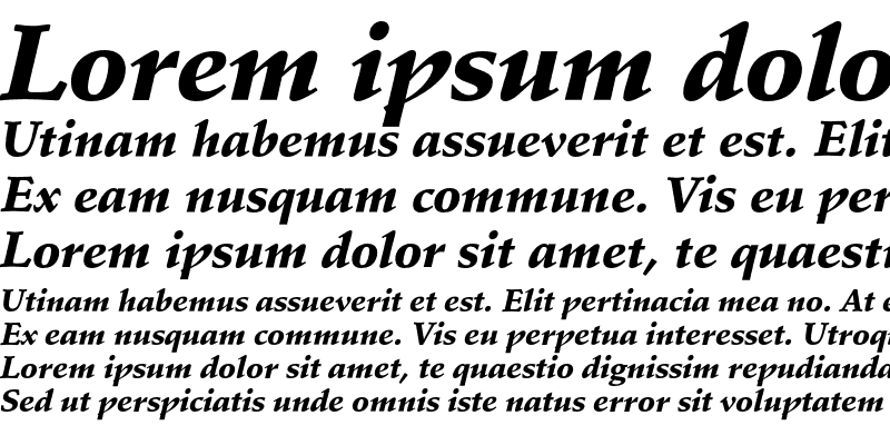 Sample of SchneidlerEF-BlackItalic Regular