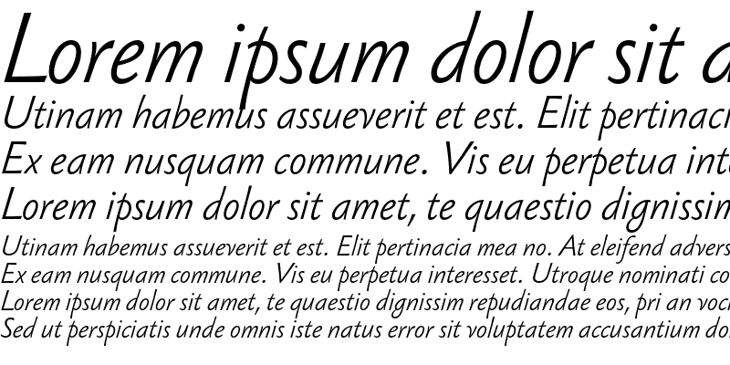 Sample of Sebastian Light Pro Italic