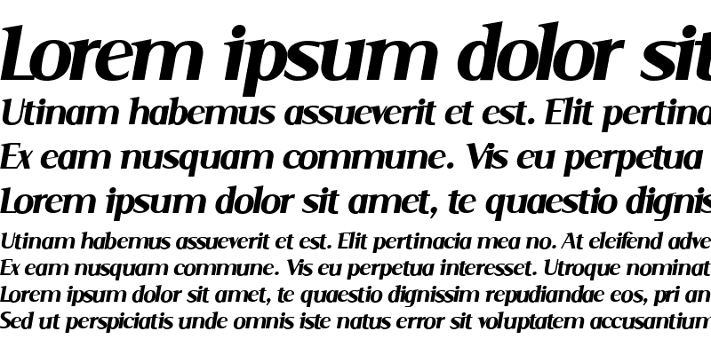 Sample of Serif Medium Italic
