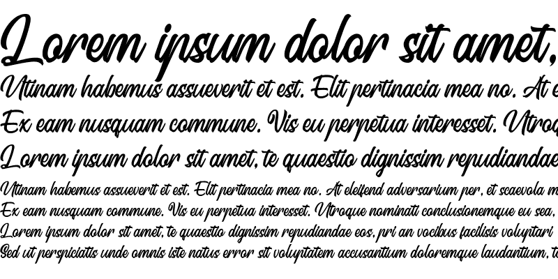 Sample of Signation Regular