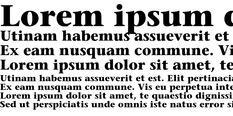 Sample of SonetSerif Bold