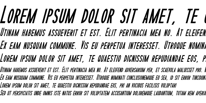 Sample of Sophisticated Slims Tight Italic