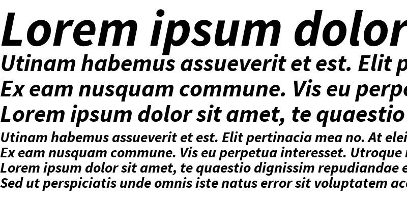 Sample of Source Sans Pro Bold Italic