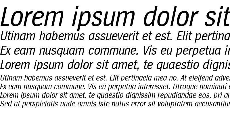 Sample of SpiegelCd Italic
