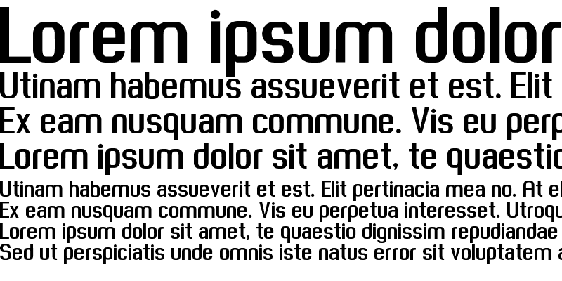 Sample of Spinn Bold