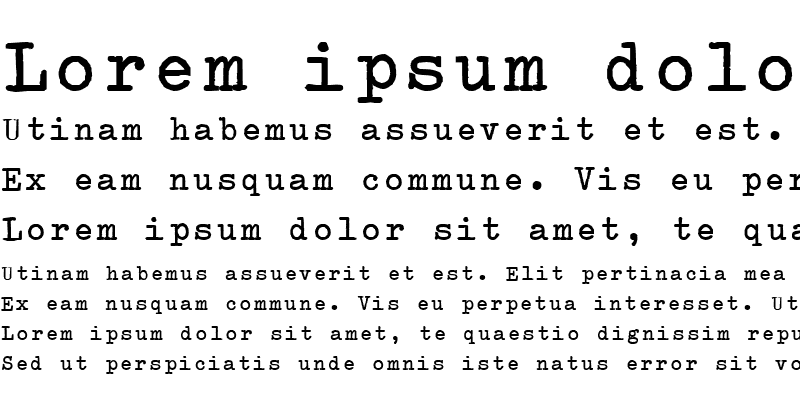 Sample of Splendid 66 Bold