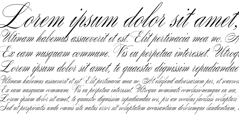 Sample of SplendidOrnamenty