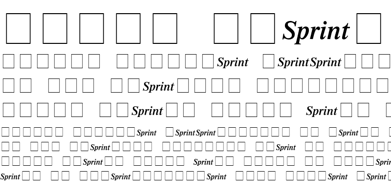Sample of Sprint Medium