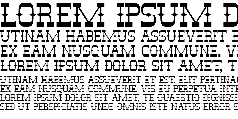 Sample of StagecoachCapsSSi