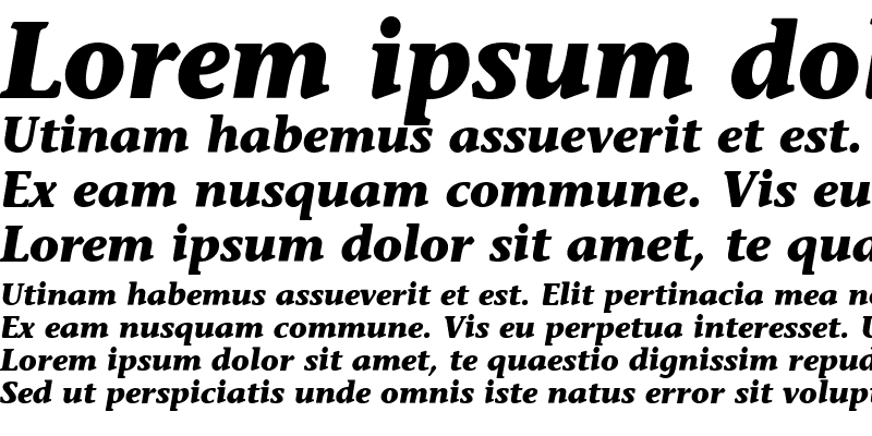 Sample of Stone Inf ITC Medium Bold Italic