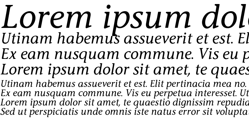 Sample of Stone Inf Medium Italic