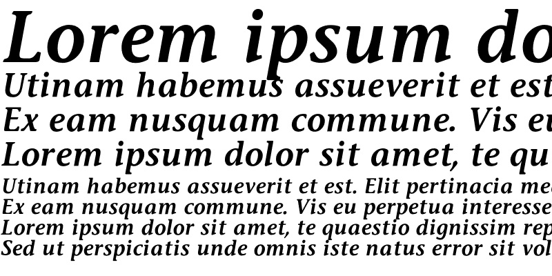 Sample of Stone InfSemiBold Italic