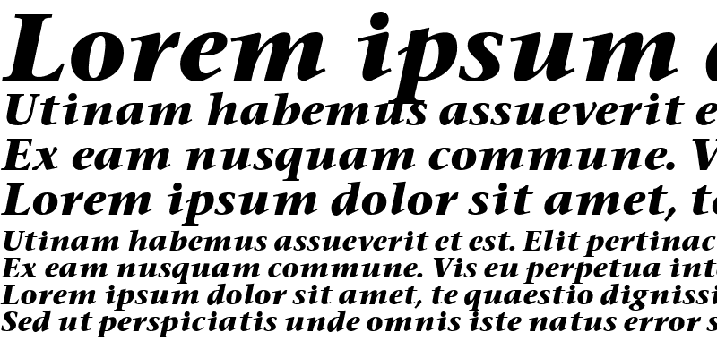 Sample of Stone Serif Bold Italic
