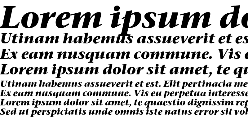 Sample of Stone Serif ITC Medium Bold Italic